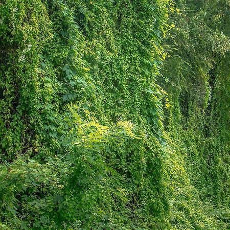 Turisticna Kmetija Stanfel Vila Podsabotin Exterior foto