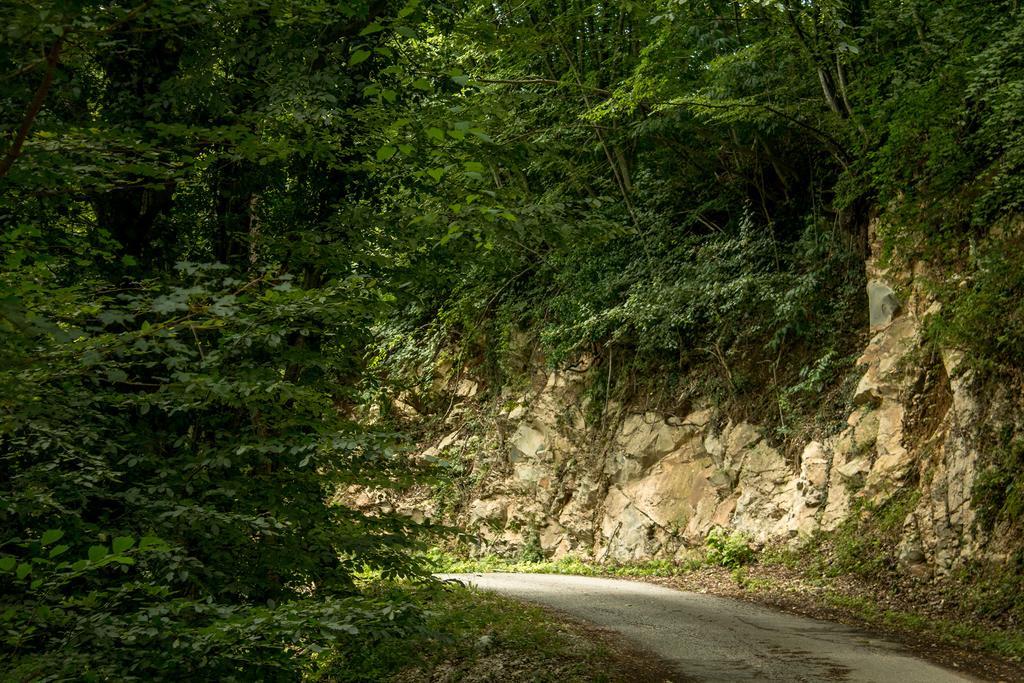 Turisticna Kmetija Stanfel Vila Podsabotin Exterior foto