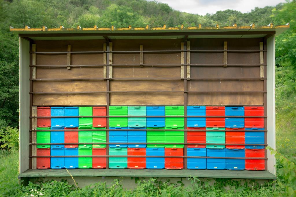 Turisticna Kmetija Stanfel Vila Podsabotin Exterior foto