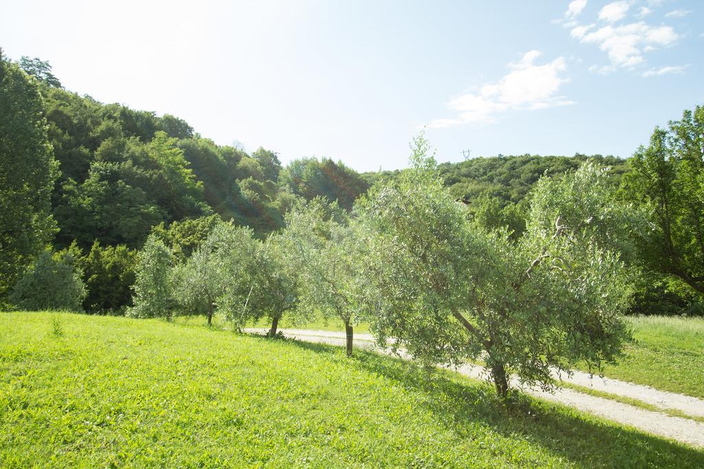Turisticna Kmetija Stanfel Vila Podsabotin Exterior foto