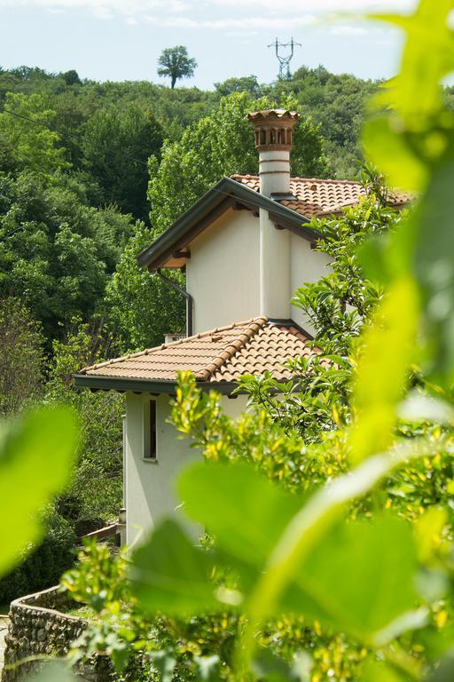 Turisticna Kmetija Stanfel Vila Podsabotin Exterior foto
